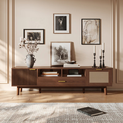 Modern TV Stand with Multiple Storage Options and Stylish Design for Living Room