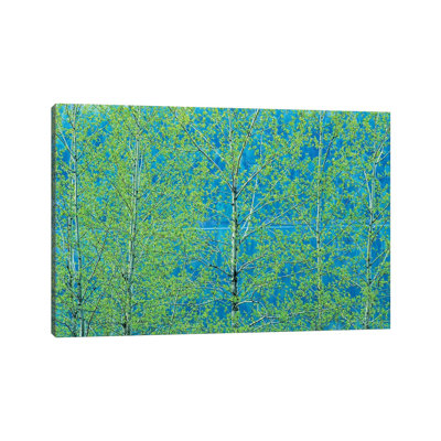 Canada, Ontario, Simon Lake Park Conservation Area Trembling Aspen Foliage in Spring 1 Piece Wrapped Canvas Painting