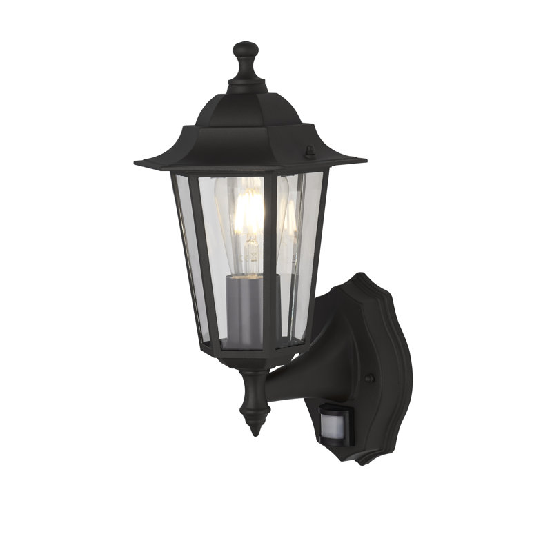 Naber 37cm H Outdoor Wall Lantern, Black