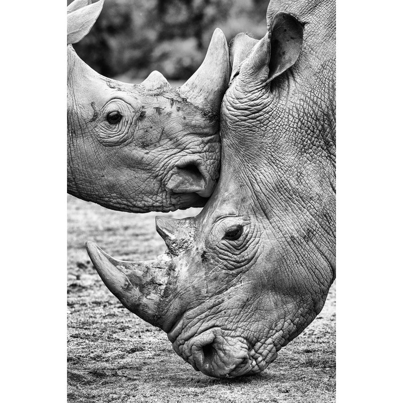 Wrapped Canvas Print, 76.2 cm H x 50.8 cm W