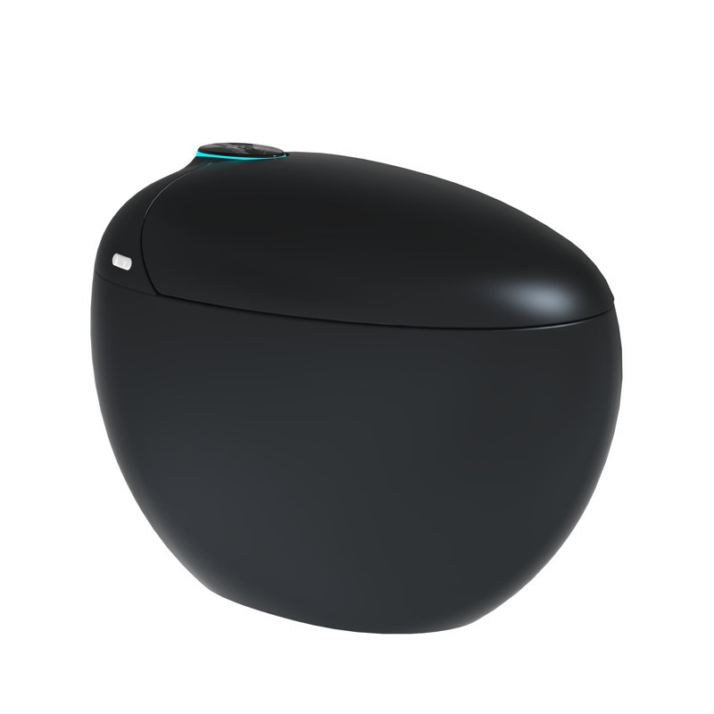 Smart Toilet with Built-in Water Tank, Auto Lid, Foot Sensor Flush, Heated Seat, Warm Air Dryer & Bidet Wash, Black