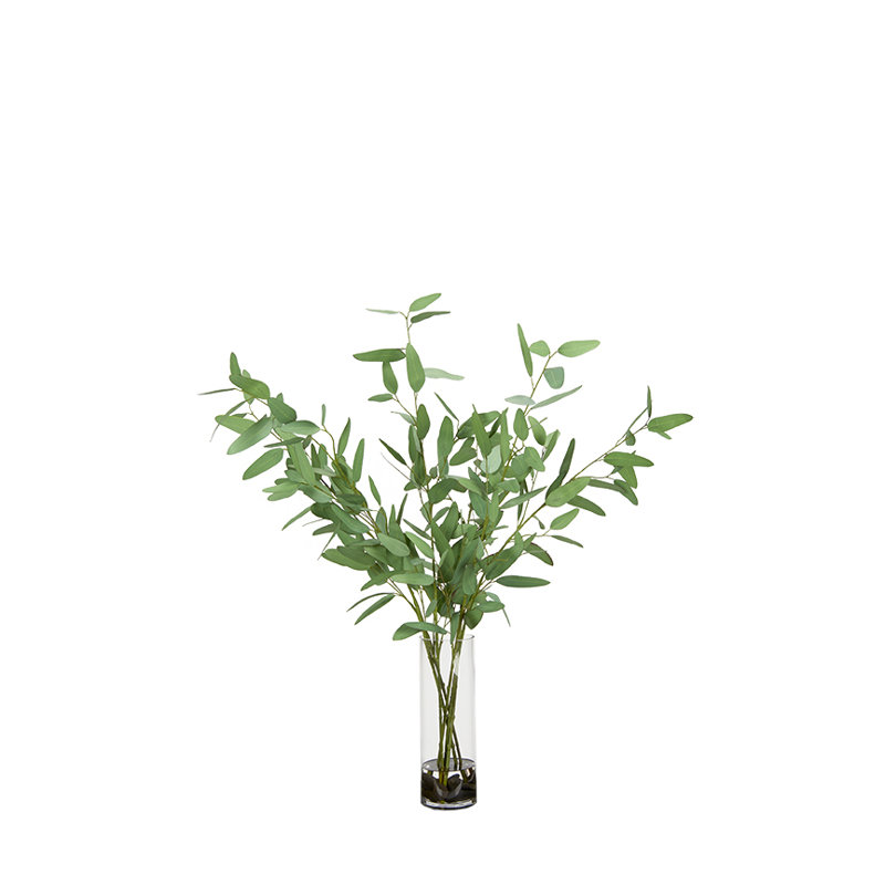 Eucalyptus bleu dans un vase Rowan