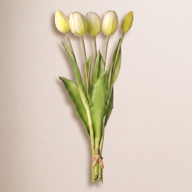 Tige de tulipe douce au toucher, Blanc