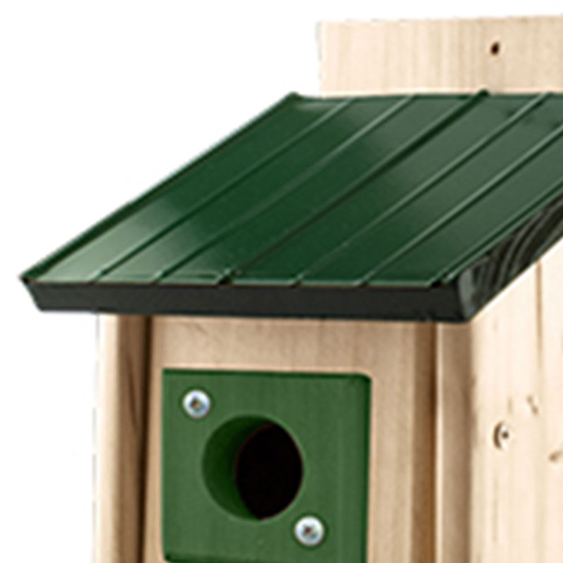 Mangeoire décorative pour oiseaux