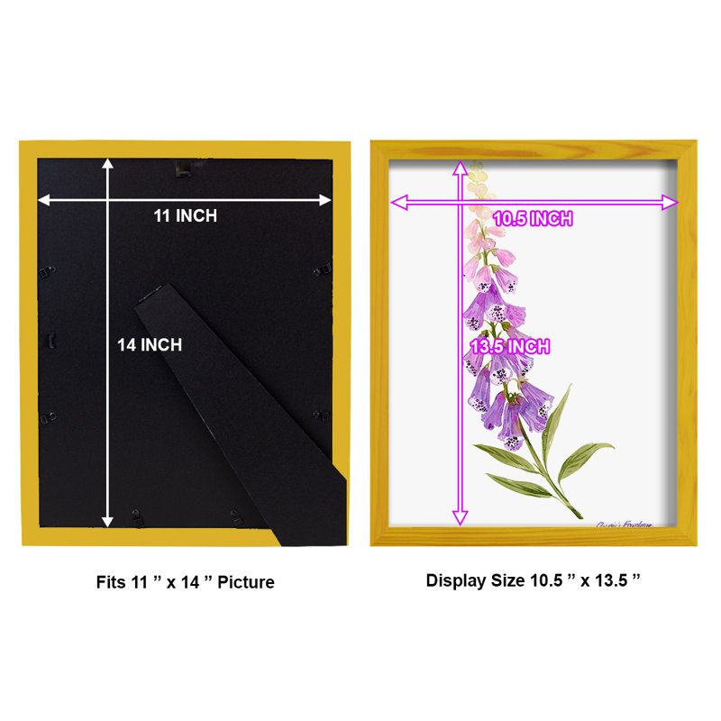 Annie's Foxglove II, L 12 po x H 15 po x P 1 po, Cadre jaune