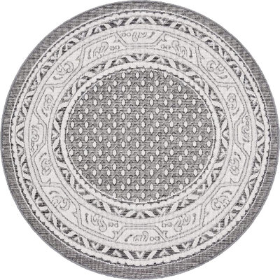 Oriental Indoor Rug