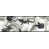 Black selected