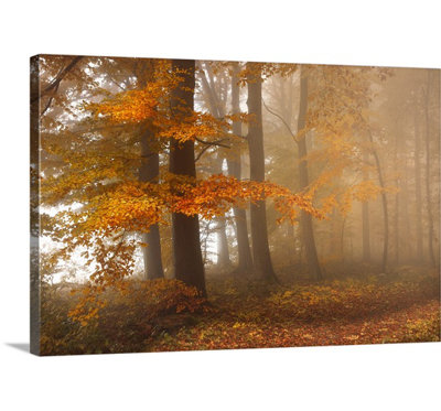 Edge of the Woods by Franz Schumacher Photographic Print on Canvas