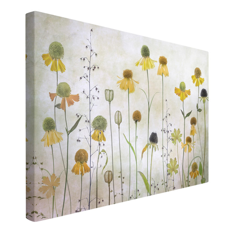 Delicate Helenium Flowers by Not An Artist - Wrapped Canvas Print, 260g/m² Canvas, Canvas, 31cm H x 20cm W