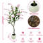 Plant-693609205