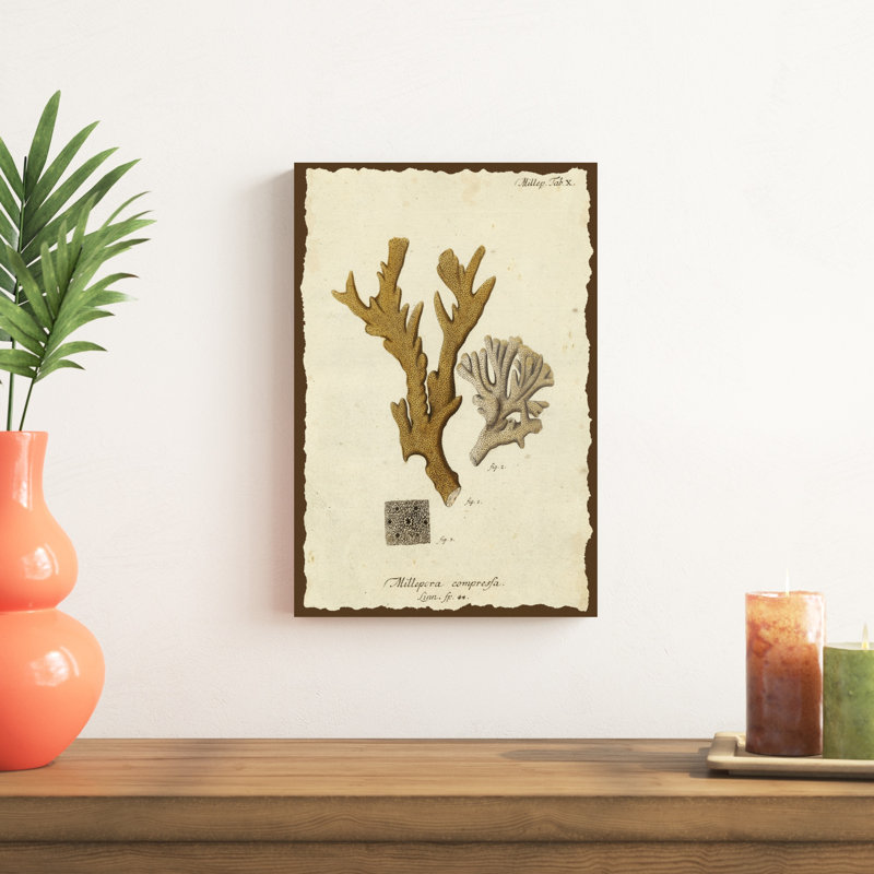 Natura corail I, H 18 po x l 12 po x P 1 po