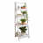 White est en rupture de stock