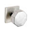 Passage Octagon Knob with Square Rose-1156352445