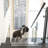Low View Panel Freestanding Pet Gate-126560176