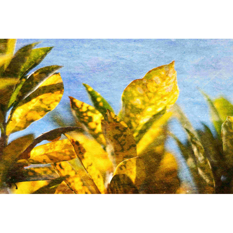 Soleil vers II, H 20 po x l 30 po