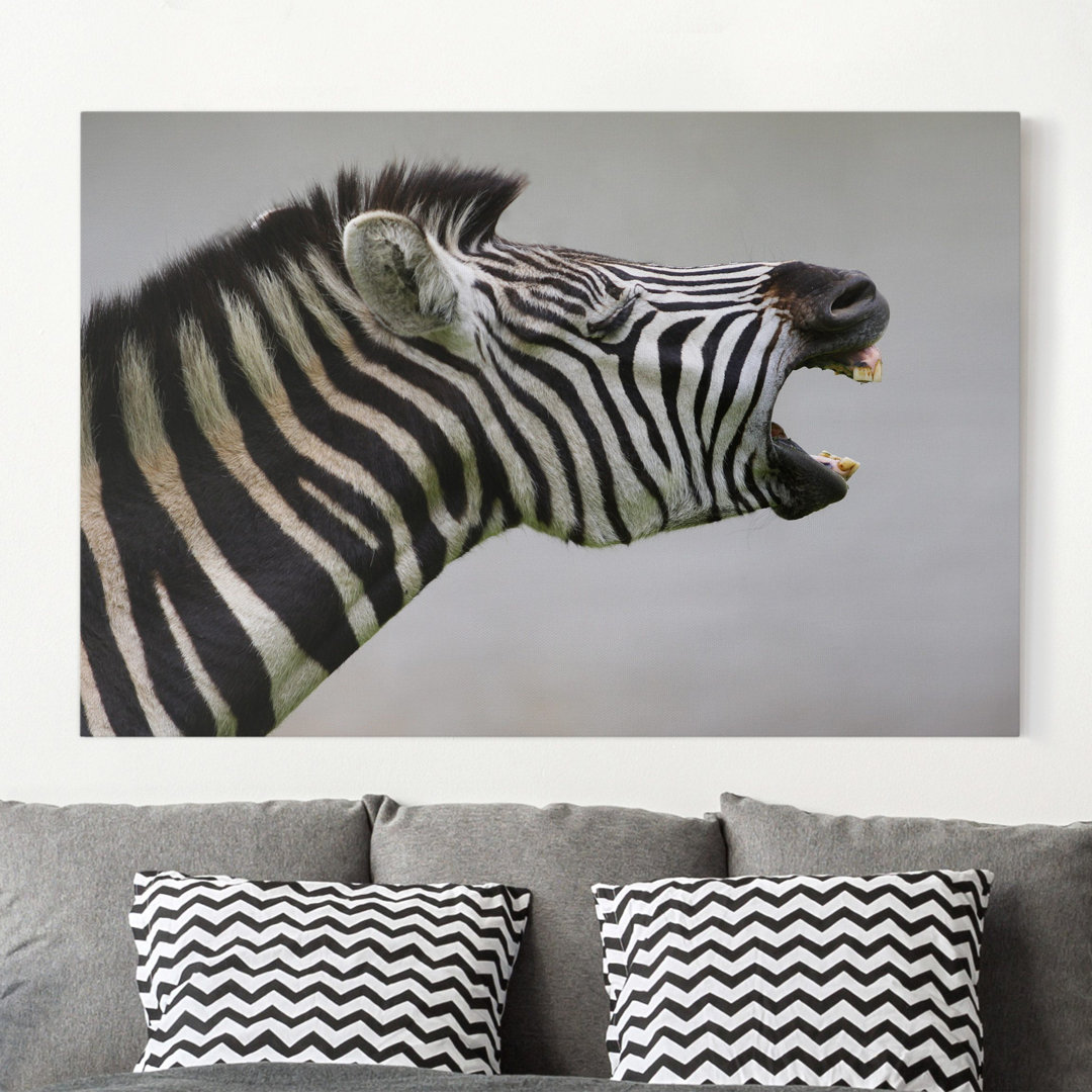 Leinwandbild Braying Zebra