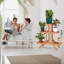 Assinthe Plant Stand-744716505