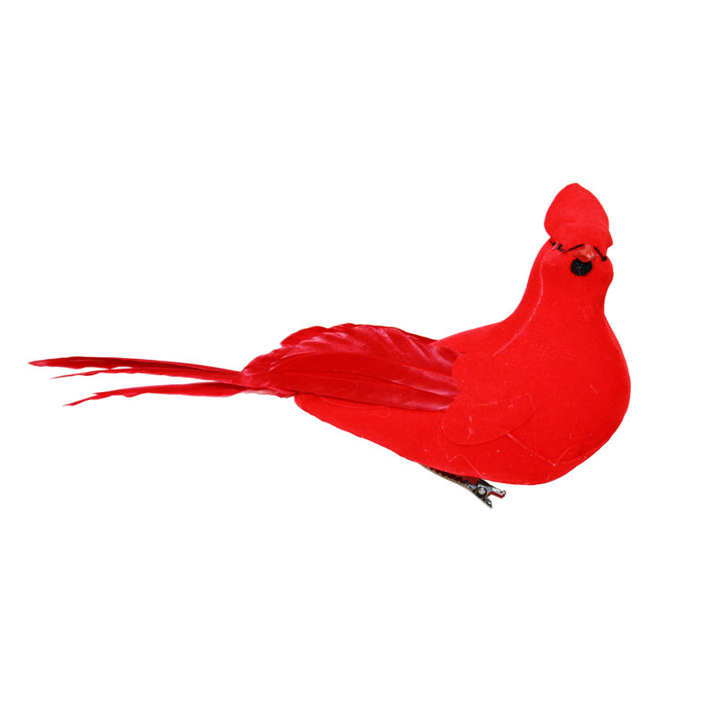 Cardinal de 5 po avec pince en métal