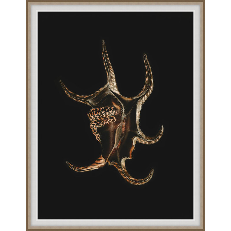 Wild Calm 5 Print by Art House Studios, 25" H x 20" W x 2" D