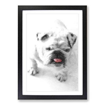 White British Bulldog Vol.1 Painting - Picture Frame Graphic Art