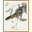 Glistening Bird 1 Painting