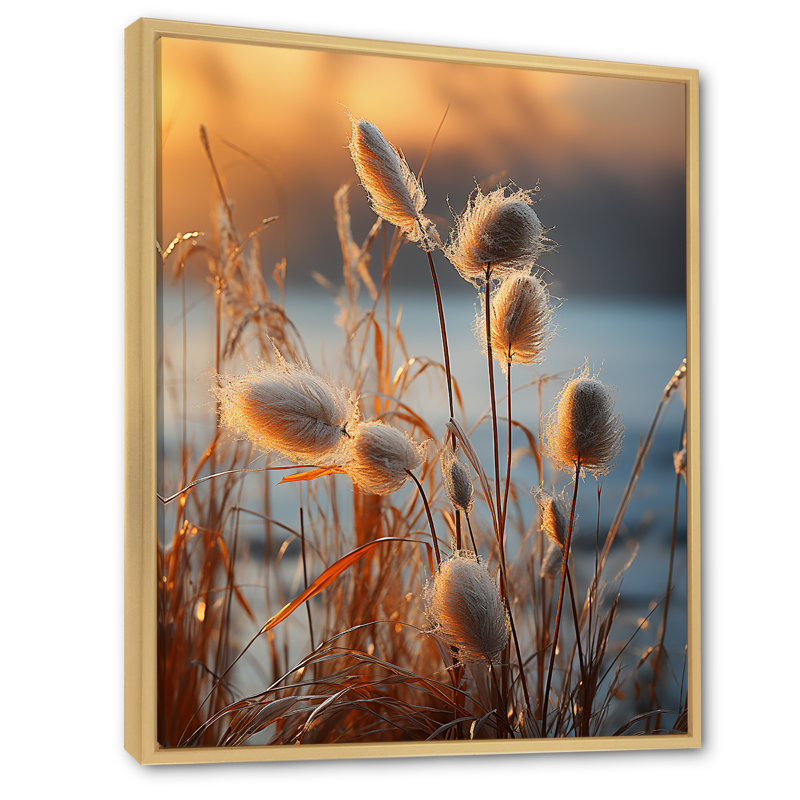 «Beachgrass Sunset Nature Herbs I», reproduction d'art sur toile, Cadre naturel flottant, H 32 po x l 16 po x P 1 po