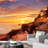 Coastal Beachy Border-93997281