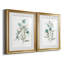 Linen Botanical III - ensemble de 2 reproductions d'art-1347602758-1347602753-1347602755