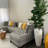Plante de 70 po 