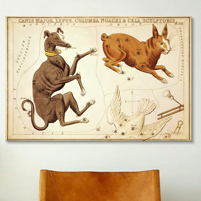 «Canis Major, Lepus, Columba Noachi et Cela Sculptoris» par Sidney Hall, impression sur toile, H 18 po x l 26 po x P 1,5 po