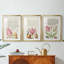 Hoefnagel Tropical Specples III - reproduction sur mesure encadrée de qualité supérieure - 3 pièces-1095233826-1095233854