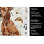 Serviette de cuisine Coffee Bar-1234934420