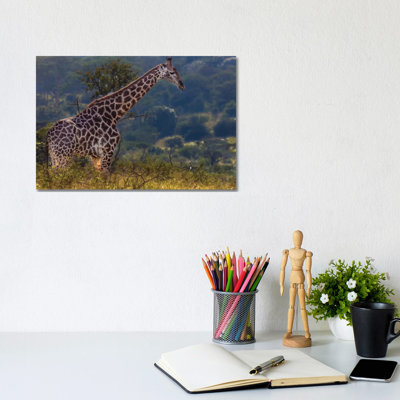 Over The Top by Anders Jorulf - Wrapped Canvas Gallery-Wrapped Canvas Giclée