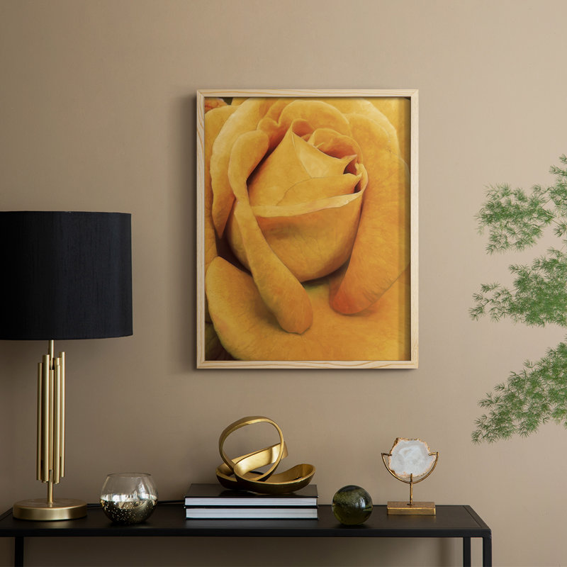 «Soft Flower Petals IV», reproduction encadrée - bois massif, Naturel, H 11 po x l 9 po
