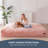 Bean Bag Chair-595687798-597191004