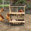 Egg Cartons / Baskets