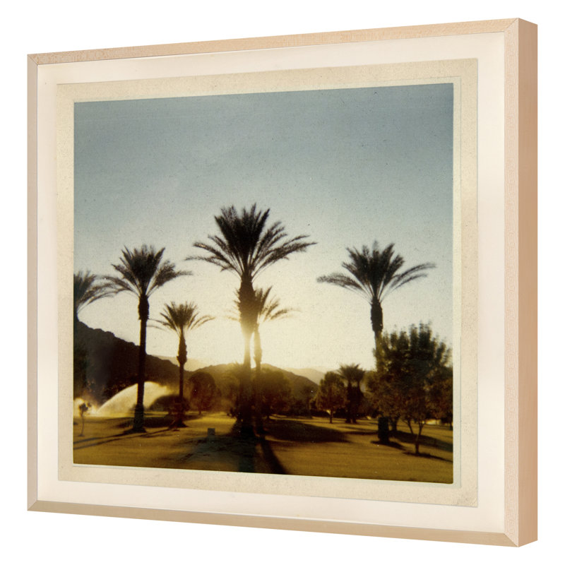 «Palm Trees» par Hope Bainbridge - impression d'un seul cadre photo sur papier, H 22 po x l 22 po