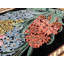 Runkel Floral Area Rug