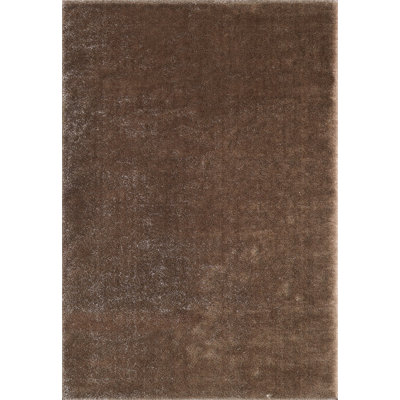 Cynithia Solid Colour Shag Indoor / Outdoor Area Rug