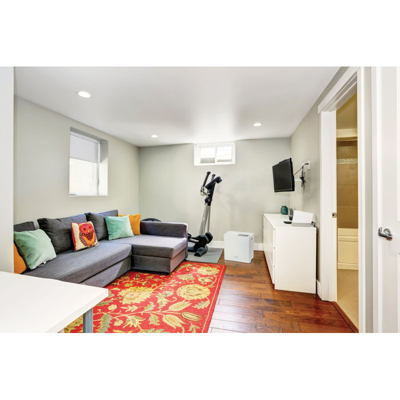22 Pint Dehumidifier