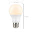 8 Watt LED Bulb
