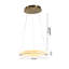 Lustre 1 lumière DEL or sable avec diffuseur en acrylique transparent-1703685740