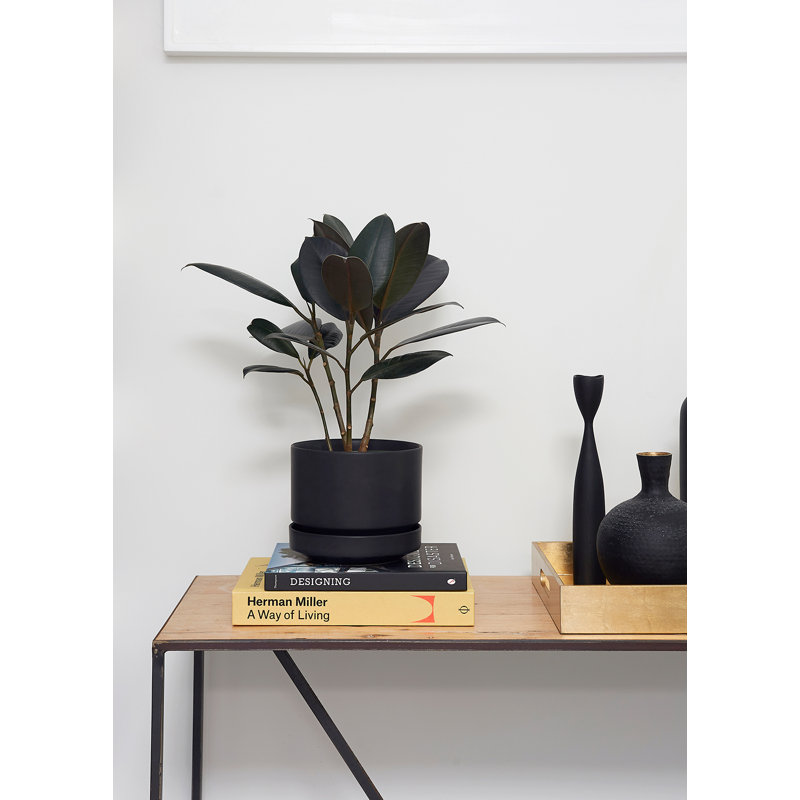 Pot à fleurs en céramique Byer, Noir, H 9,25 po x l 10,25 po x P 10,25 po