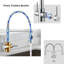 Williston Forge Kitchen Faucet