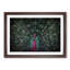 Mesmerising Pink & Green Peacock - Picture Frame Graphic Art Print-55739997-55739998