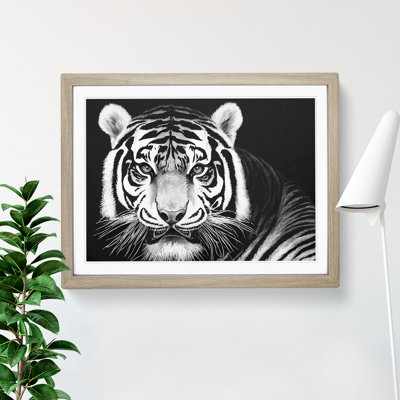 Tiger - Framed Print