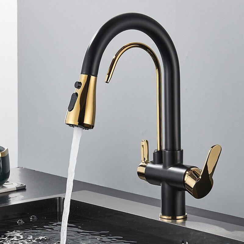 Belfry Kitchen Creger Pull Out Kitchen Faucet