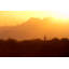 Saguaro National Park, Arizona Print by PhotoDF-660625290