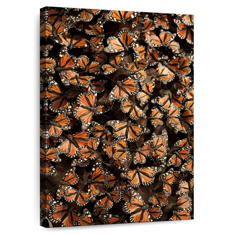 Brampt Monarch Butterfly Madness, 45" H x 30" W