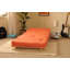 Arlete Upholstered Futon And Mattress-254661697-254661702